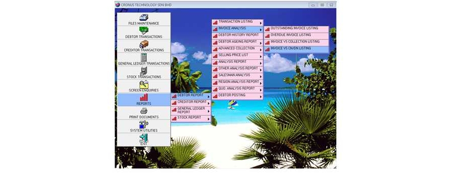 Debtor Analysis Report